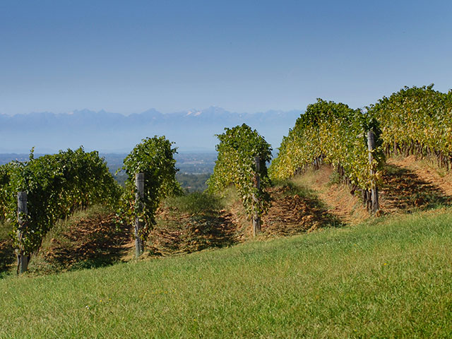Harvest 2012