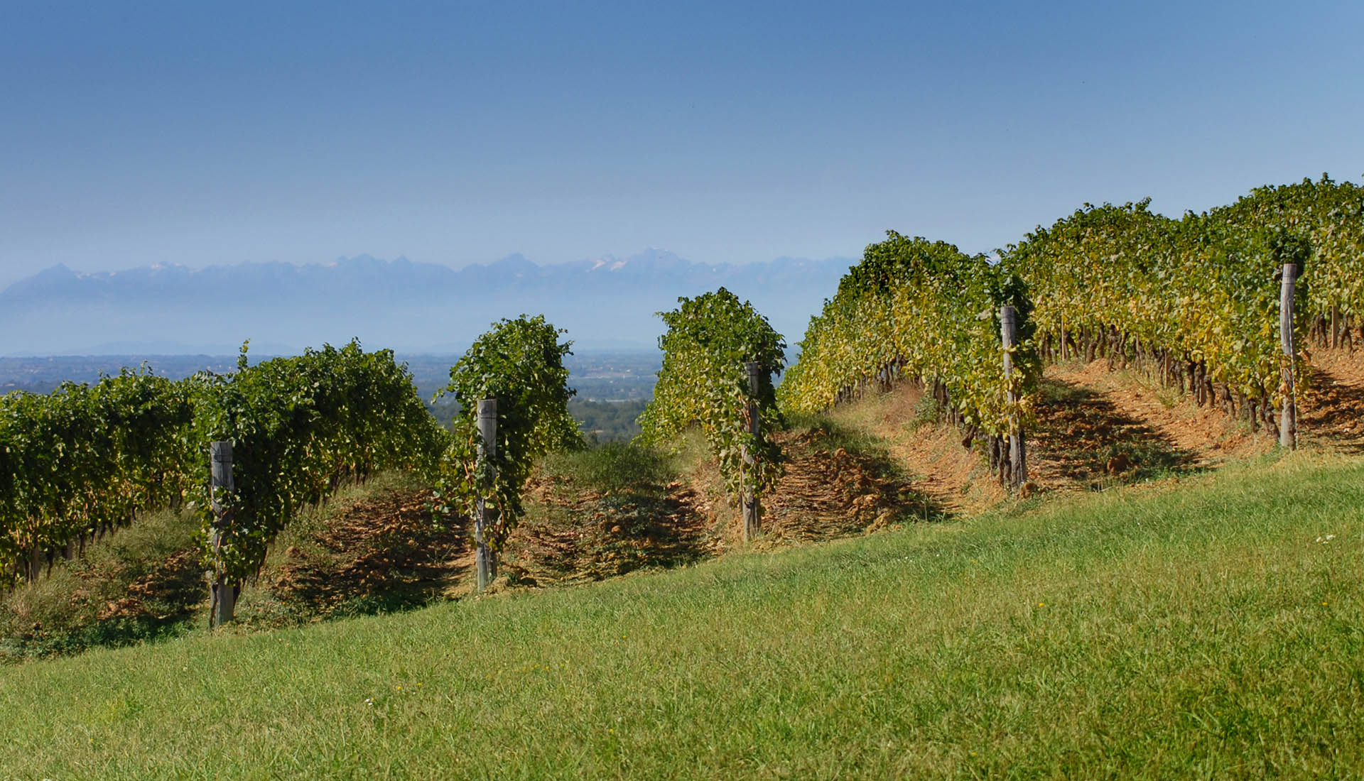 gallery-vigneti-03