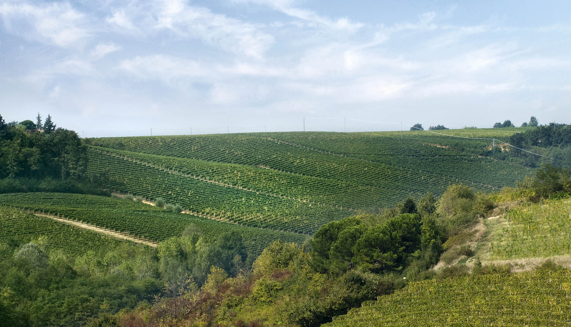 gallery-vigneti-05